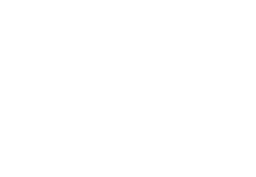 Lehner Digital